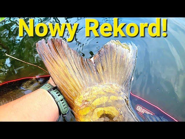 Potężna Ryba na Method Feeder, nowy rekord! Wędkarstwo feederowe!