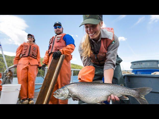 Native Fish Conservation in Yellowstone National Park