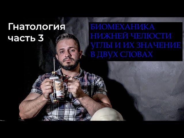 ГНАТОЛОГИЯ часть 3 (БИОМЕХАНИКА, УГЛЫ, ИХ ЗНАЧЕНИЕ ОБЗОРНО)