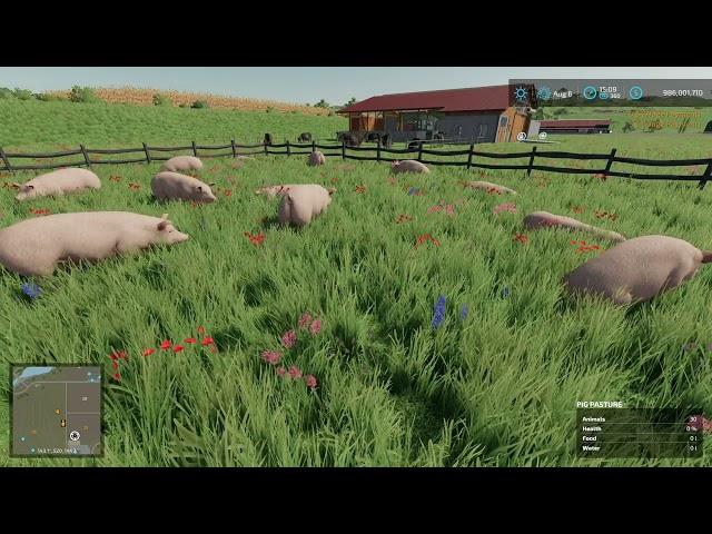 FS22 Mod Review - RealismAddon: AnimalGrazing