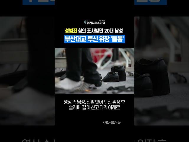 죽으면 끝? 성범죄 저지르고 '투신자살' 위장, 도주... 들통난 20대 남성 #위키리크스 #뉴스 #위키리크스한국
