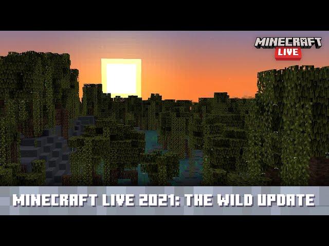 Minecraft Live 2021: A Look at The Wild Update