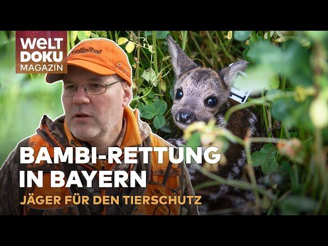 REHKITZ-RETTER AUS BAYERN: Jäger kämpfen für Bambi und den Tierschutz | WELT Doku Magazin