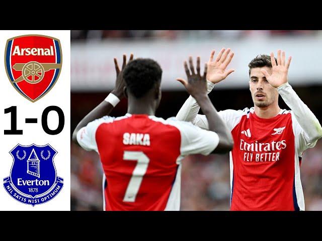 Arsenal vs Everton 1-0 Highlights & All goals 2024