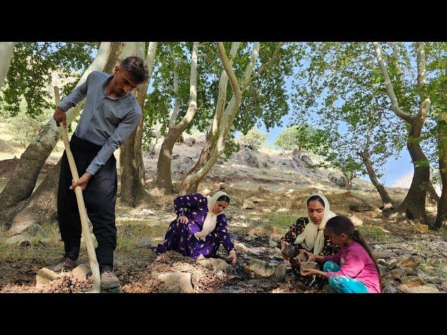 The Calm of Nature: And the Uncertain Fate of a Single Mother