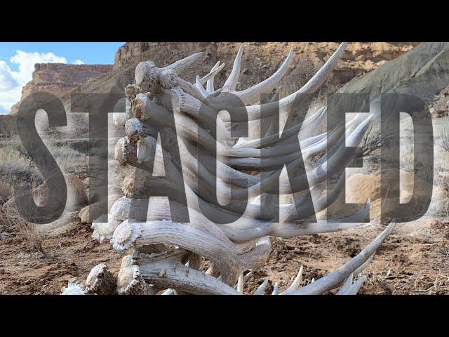 SHED HUNTING 2021- 21 MULE DEER SHEDS IN A DAY!