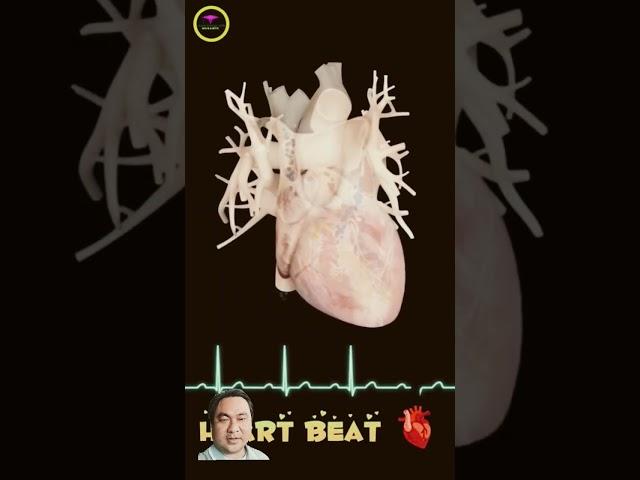 Heart || beating || Animated short video 9s || Learn Biology with musawir || #shorts