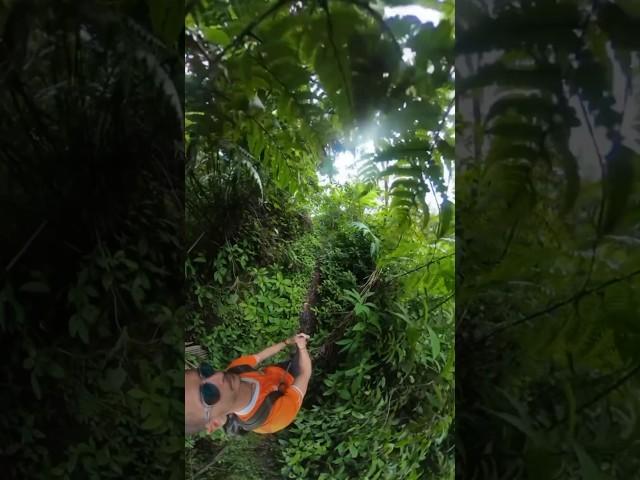 Hiking in El Yunque National Forest