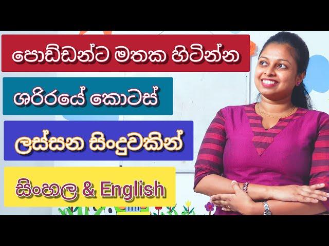 Parts of the Body in Sinhala and English|ශරිරයේ කොටස් ලස්සන සිංදුවකින් හදුනා ගනිමු|Shani Teacher|