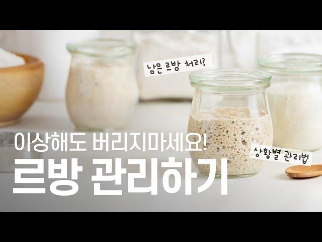 르방 관리 이 영상만 따라하세요! 사워도우, 발효종 관리하는 법 How to maintain sourdough starter