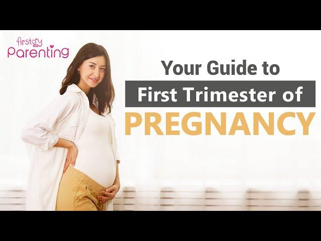 First Trimester of Pregnancy – What to Expect