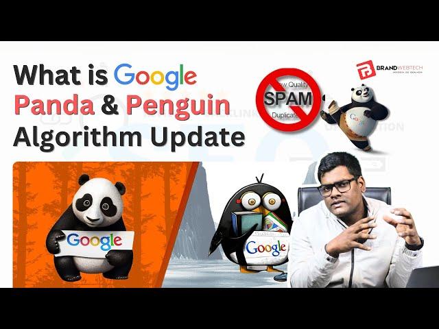 What is Google Panda & Google Penguin Algorithm | How to Recover from Penalties #googlealgorithm