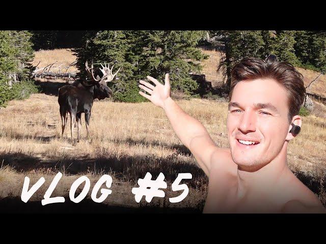 Why I Need to be Alone in UTAH | Tyler Cameron Vlogs