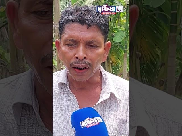 কলা গাছের সাথে এ কেমন শত্রুতা? | Drishti 24