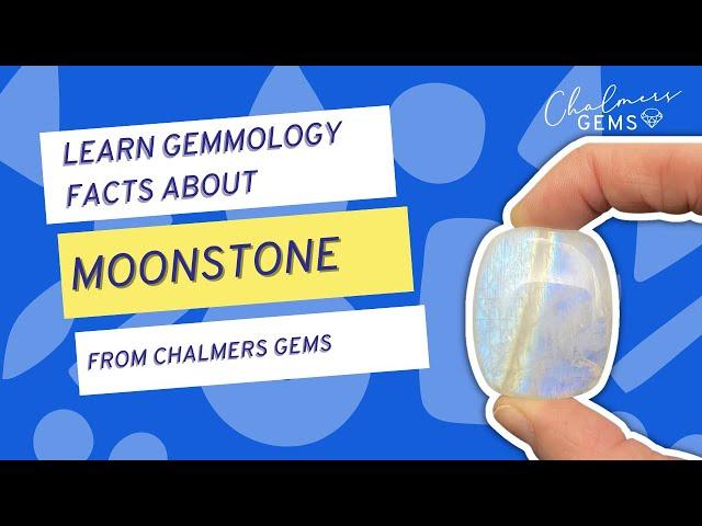 Moonstone | Learn Gemmology with Chalmers Gems