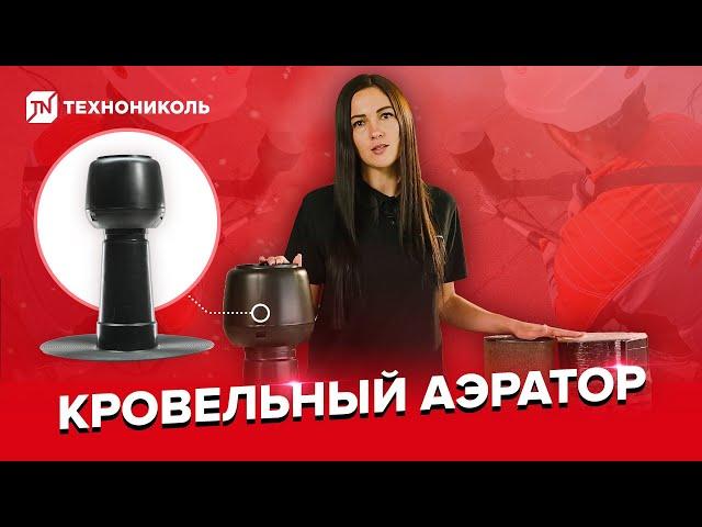 Надёжная кровля с кровельным аэратором ТЕХНОНИКОЛЬ