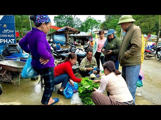 FULL VIDEO: 120 days harvesting bamboo shoots, vegetables, tubers, ducks goes the market to sell