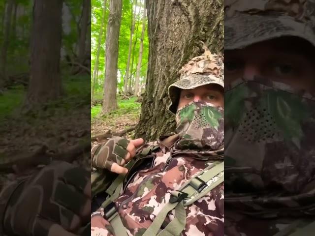 George Taking A Snooze During Memorial Day Turkey Hunt #shorts #springgobbler #hunting #outdoors