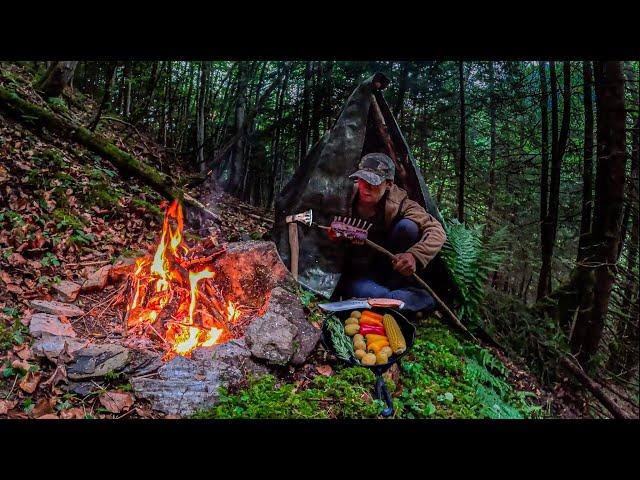 Building a Shelter, COOKING OVER open FIRE while heavy RAIN!