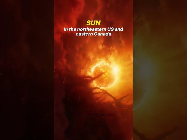The First Solar Eclipse of 2025!  #Space #Earth #Sun