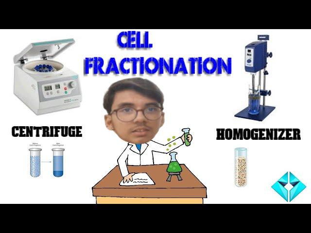 Cell fractionation technique/ Experiment / Class 11 chapter#3 / with Muhammad khuzaima Rathore....