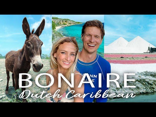 BONAIRE Travel Guide!  (30 BEST things to do, cost, & more - our vlog)