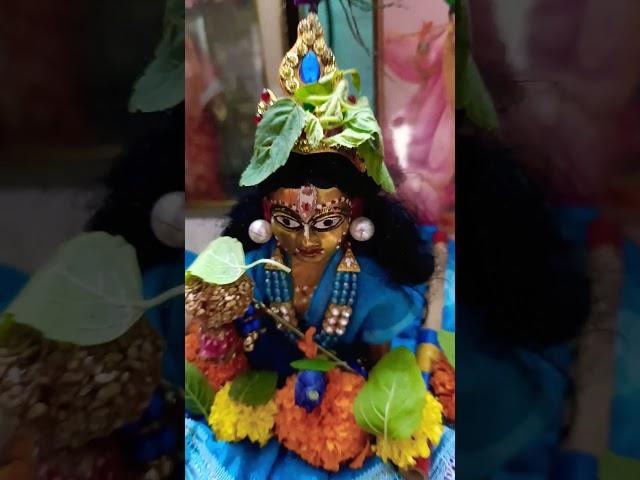 Laddu gopal