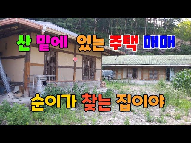 520 봉계리 촌집매매  조용하고 깨끗한 죽장촌집매매 산밑에 있는 포항촌집매매 서까래가 좋은 봉계리 주택매매  대지가 넗은 죽장주택매매 포항주택매매 포항부동산 죽장부동산 지목부동산