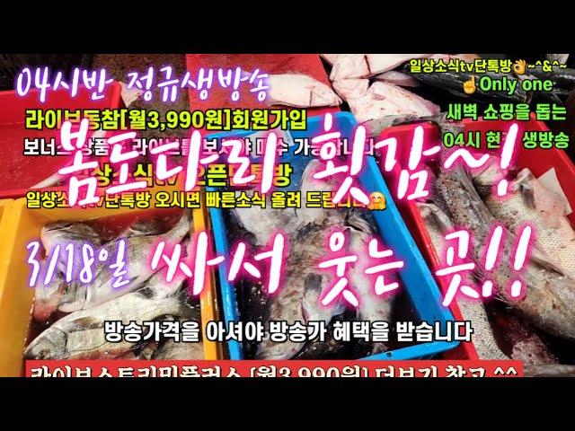 활어횟감 병어 갈치 홍어 삼치 해삼 전복 3/18일 04시반 정규라이브(월~토)️Only one 새롭고 싸고 다양한 노량진수산시장 새벽 쇼핑을 돕는 정규생방송(Live)운영~