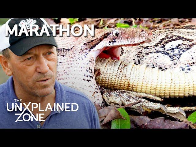 TOP 3 MASSIVE SWAMP BEASTS *Marathon* | Swamp Mysteries with Troy Landry | The UnXplained Zone
