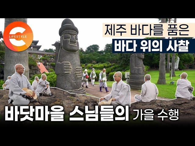 섬마을에 있는 동양 최대 단일 법당🪷 제주 바닷마을 스님들의 아주 특별한 수행 바다를 품은 절 | 제주 서귀포