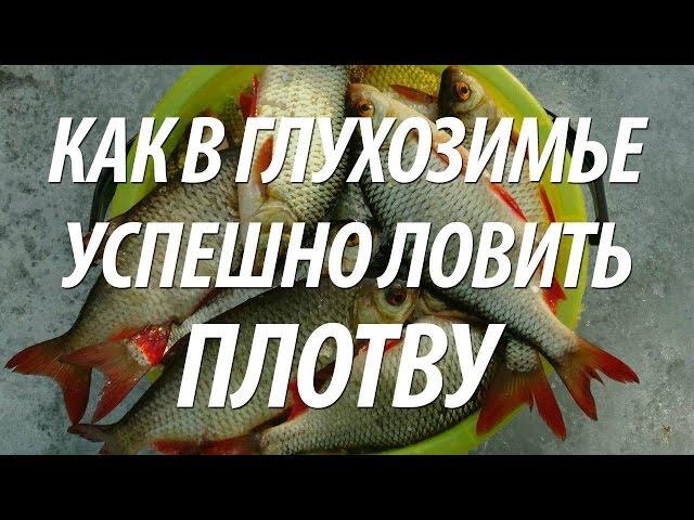 ЛОВЛЯ ПЛОТВЫ ЗИМОЙ В ГЛУХОЗИМЬЕ - СОВЕТЫ РЫБАКАМ