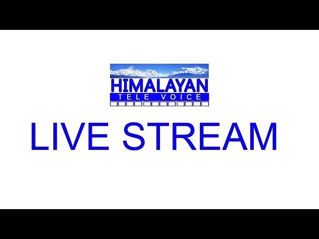 Himalayan Tele Voice Live