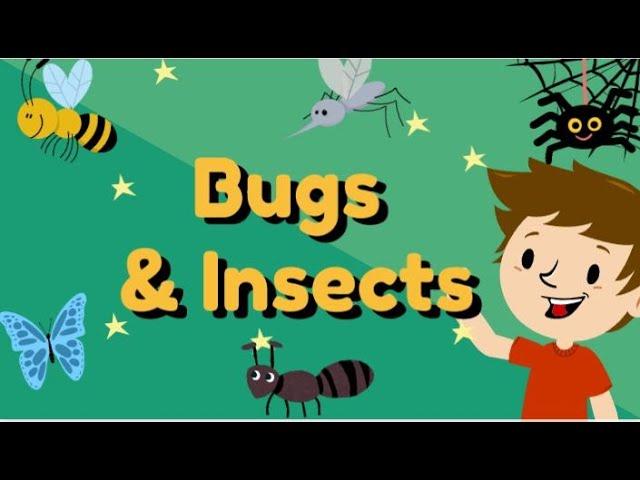 Guessing Game - Bugs & Insects  ︳ Guess the  Bugs & Insects︳ESL Game for Kids  ︳