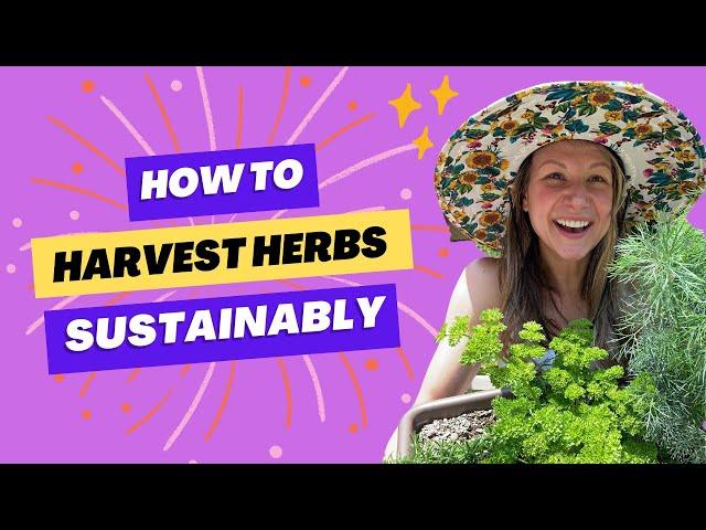 How To Harvest Herbs (And Keep Them Growing!)