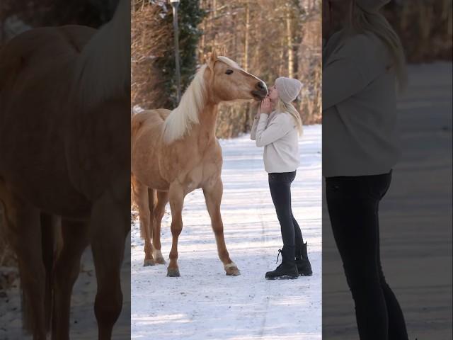 Goodbye Sparky + Videos aus dem neuen Zuhause !️ #abschied