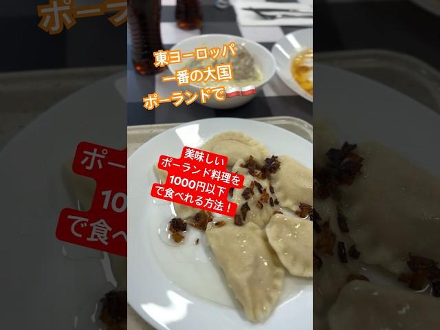 【旅行者必見！】ポーランドで1000円で美味しい郷土料理を食べる裏技！ #ヨーロッパ #海外旅行 #travel #旅行 #ポーランド #ポーランド旅行 #ポーランド料理 #ヨーロッパ旅行