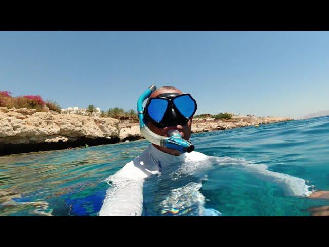 SHARK'S BAY، SHARM EL SHEIKH، South Sinai Governorate, Египет