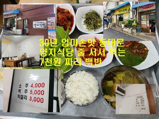 30년 엄마손맛 동대문 양지식당 줄 서서 먹는 7천원 짜리 백반