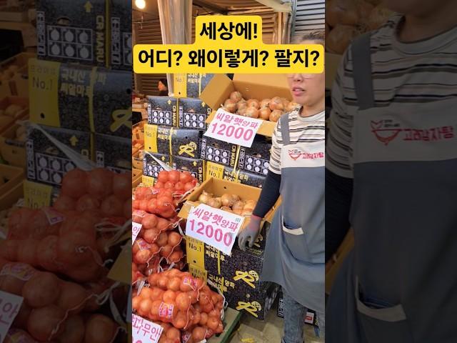 어디? 왜? 이렇게 팔지? 미쳐! #시장 #맛집 #쇼핑 #세잏 #폭락