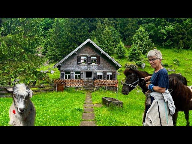 Best Village Life Videos for Summer 2024 | Explore Real Life in Mountain Villages!