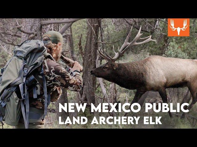 New Mexico Public Land Archery Elk | With The Element