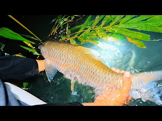 48 H Sống Trong Rừng Câu Cá Cắm Trại / Big fish camping in the woods