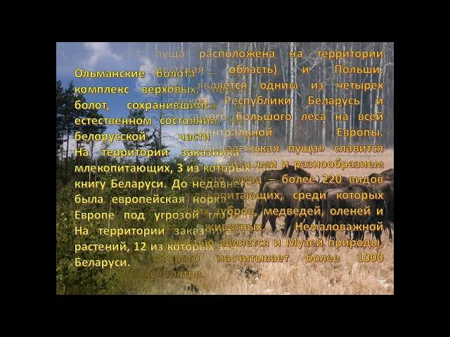 Загадки белорусских просторов
