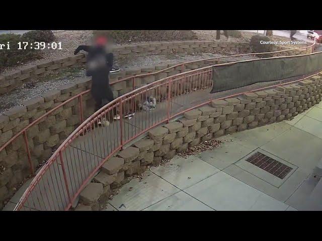 Albuquerque business takes matters into their own hands when it comes to shoplifters