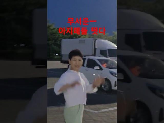 무서운 아지매들 강원도로 떠난다 #시니어일상