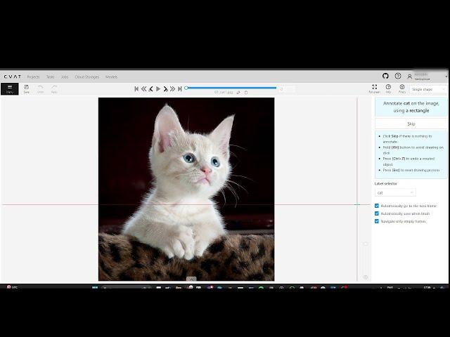 CVAT.ai Product Tour #43:  Annotate Faster with Single Shape Mode