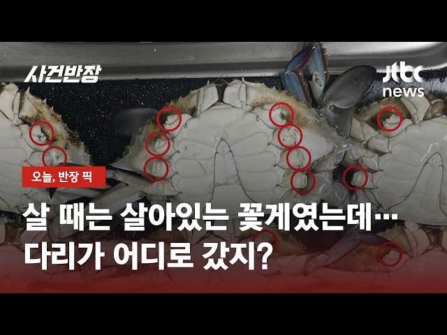 산 꽃게 사서 집에 와 보니…다리가 사라졌다? / JTBC 사건반장