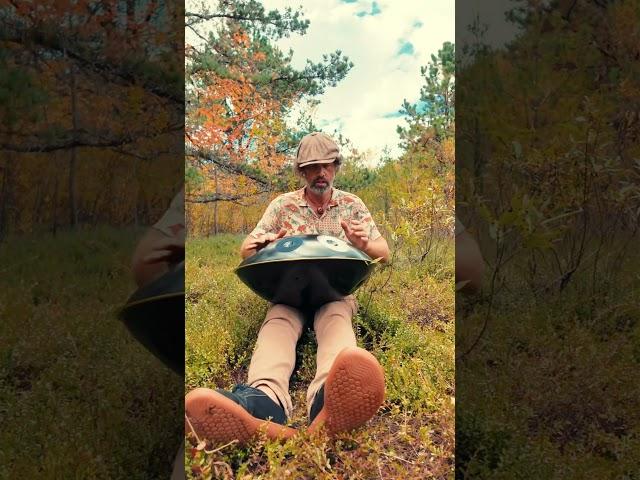 1234 hz handpan cranberry bog music #handpan