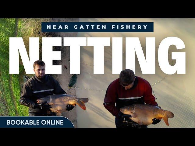 Near Gatten Fishery Netting - Behind the Scenes of a Fishery 